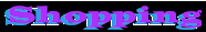 shopping.gif (2198 bytes)