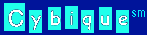 cybiquelogo17.gif (1791 bytes)