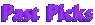 PastPicksText.gif (1629 bytes)