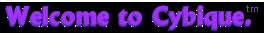 WelcomeText5.gif (2987 bytes)